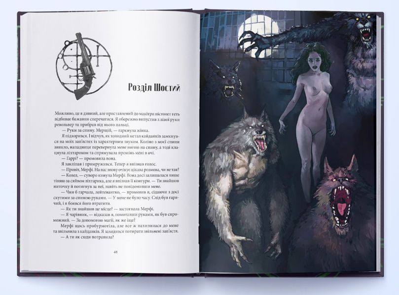 Повня дурня. Справи Дрездена. Книга 2 10311031613 фото