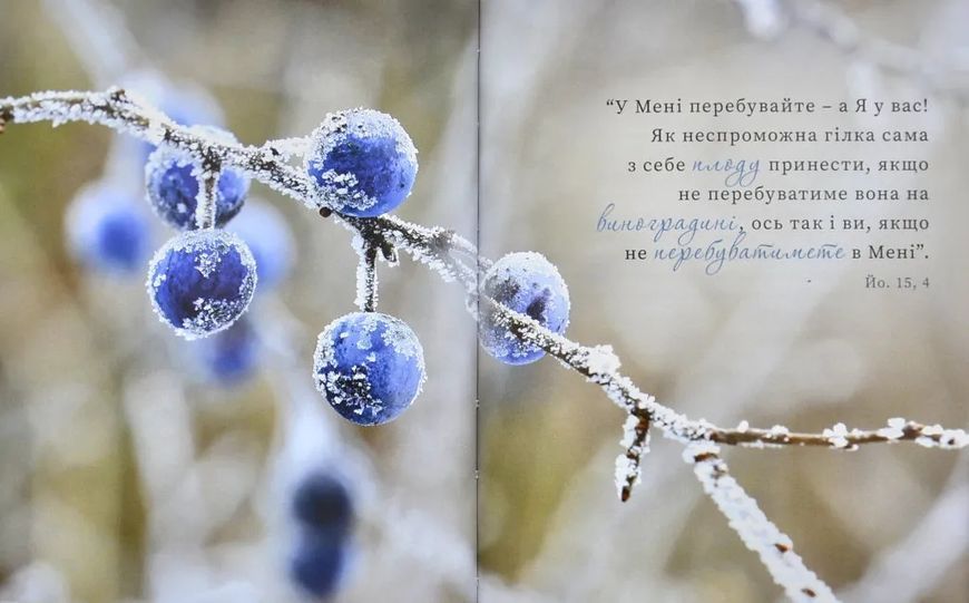 Ісус запрошує на Різдво 10311012654 фото