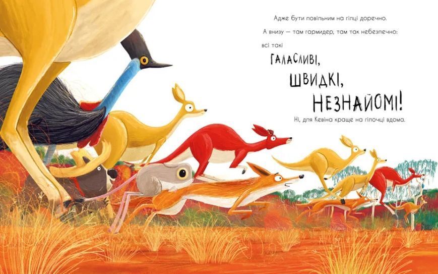 Як коалу гуляти викликали 10311016566 фото