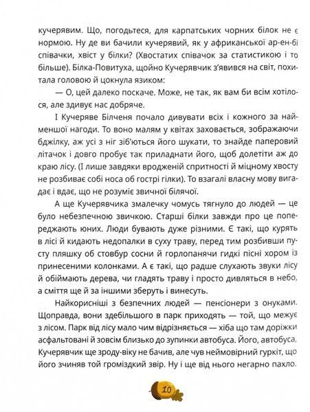 День усіх білок 10311025997 фото