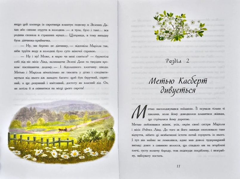 Класичні романи. Енн із Зелених Дахів 10311005714 фото
