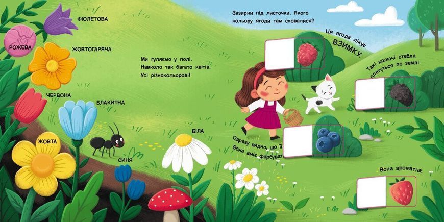 Книжка для малечі. Якого кольору. 24 віконця-хованки 10311032172 фото