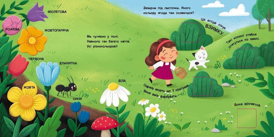 Книжка для малечі. Якого кольору. 24 віконця-хованки 10311032172 фото