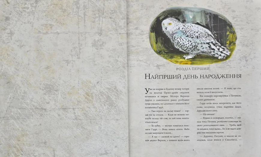 Гаррі Поттер і таємна кімната. Книга 2. Ілюстрована 1031150668 фото