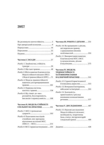 Як розвинути життєстійкість. Моделі травмостійкості 10311034828 фото