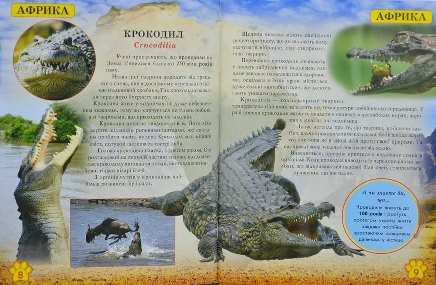 Дикі тварини. Світ навколо нас 1031166761 фото