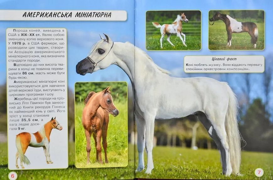 Світ навколо нас. Коні 1031167863 фото
