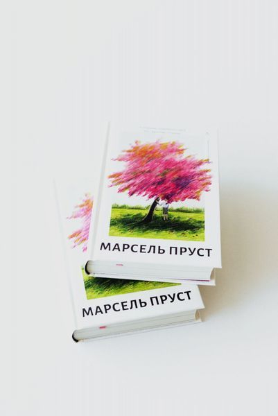 У пошуках утраченого часу. Книга 1. На Сваннову сторону 10311029249 фото