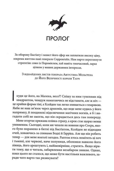 Оніксова буря (м'яка) 10311031028 фото