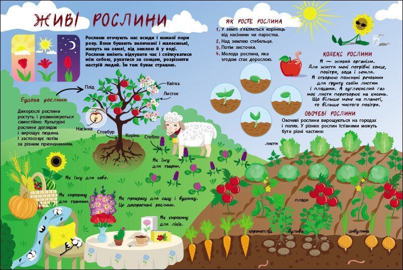 Таємне життя рослин 10311025310 фото