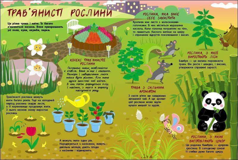Таємне життя рослин 10311025310 фото