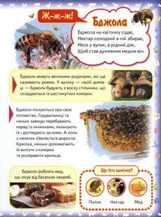 Моя перша книга Картонка А4 Про свійських тварин 1031144061 фото