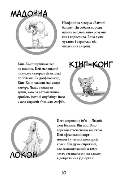 Лапа лапу миє. Вулична банда. Книга 1 10311031298 фото