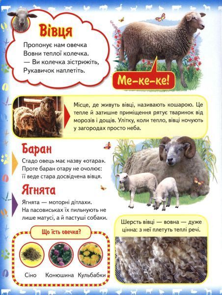 Моя перша книга Картонка А4 Про свійських тварин 1031144061 фото
