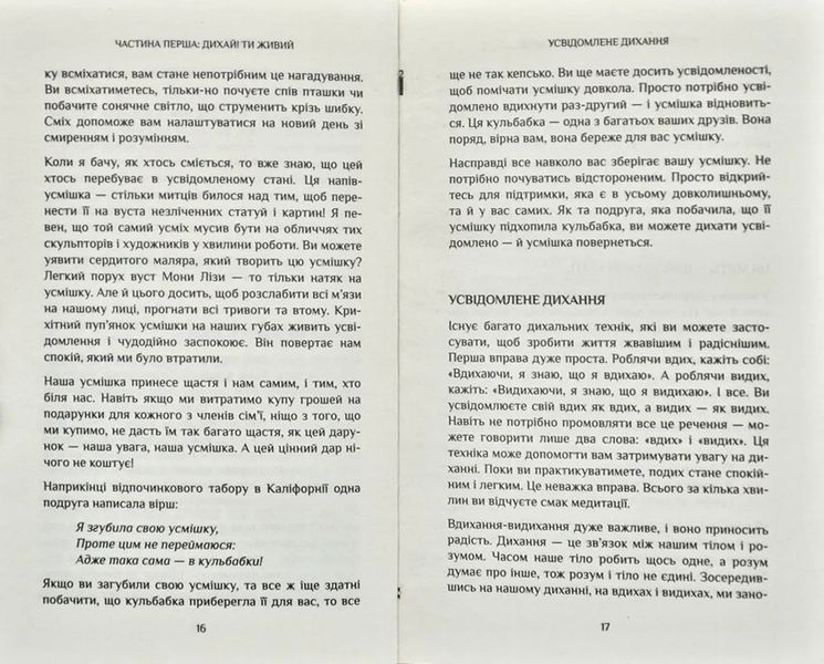 Спокій у кожному кроці. Шлях усвідомлення в повсякденному житті 1031171900 фото