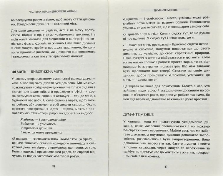 Спокій у кожному кроці. Шлях усвідомлення в повсякденному житті 1031171900 фото