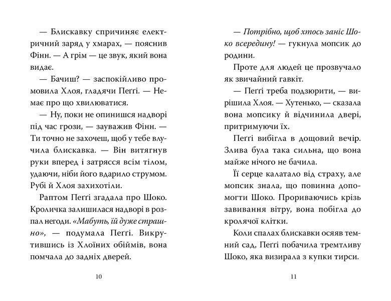 Мопс, який хотів день народження. Книга 11 10311032529 фото