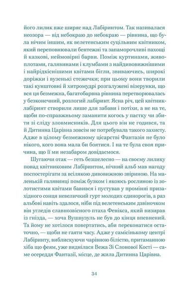 Нескінченна історія 10311030902 фото