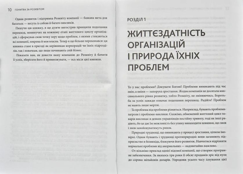 Гонитва за Розквітом. Максимізуйте успіх компанії за методологією Адізеса 1031166038 фото
