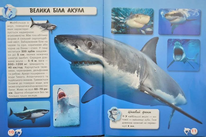 Акули. Світ навколо нас 1031166758 фото
