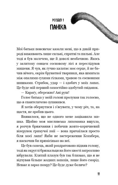 Діти лісу. Незвіданий край. Книга 4 10311022955 фото