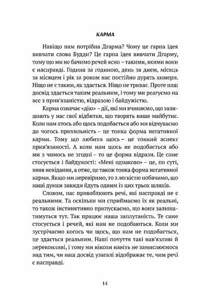 Смуток, любов, відкритість: буддійський шлях радості 10311026476 фото
