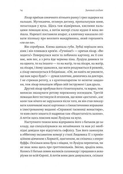 Зимовий солдат 10311032604 фото