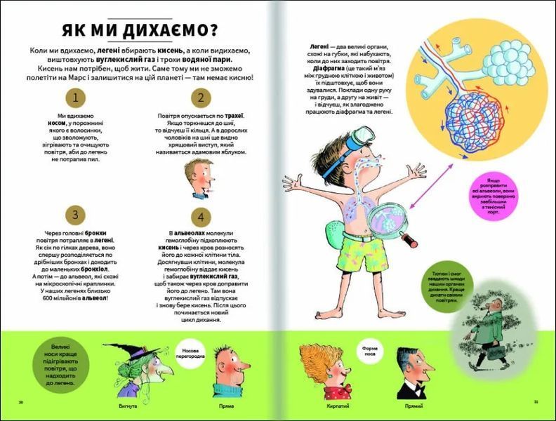 Тіло людини зовні 10311007781 фото