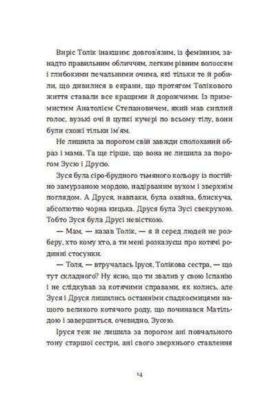 Драбина 10311018393 фото