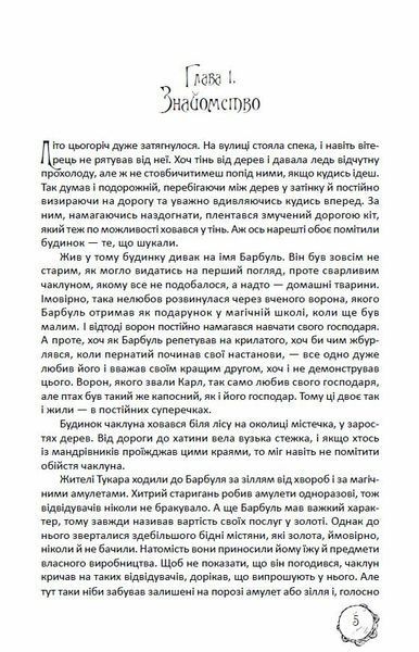 Магічний шлях. Барбуль 10311028062 фото