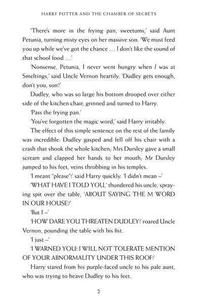 Harry Potter and the Chamber of Secrets 10311023542 фото