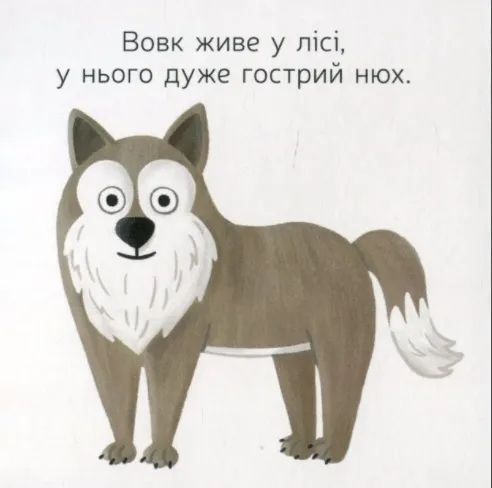 Улюблені тваринки. Лісові розбишаки 10311010197 фото