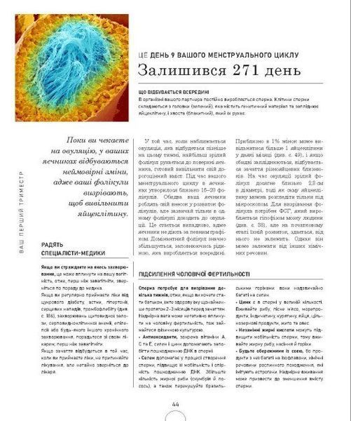 Вагітність день за днем 10311028370 фото