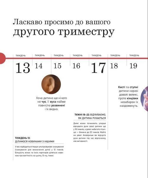 Вагітність день за днем 10311028370 фото