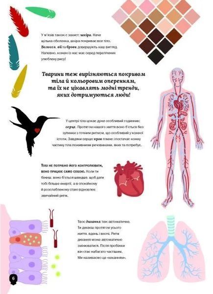 Тіло людини 10311011835 фото