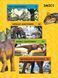 Моя перша енциклопедія. Динозаври (National Geographic Kids) 10311024760 фото 2