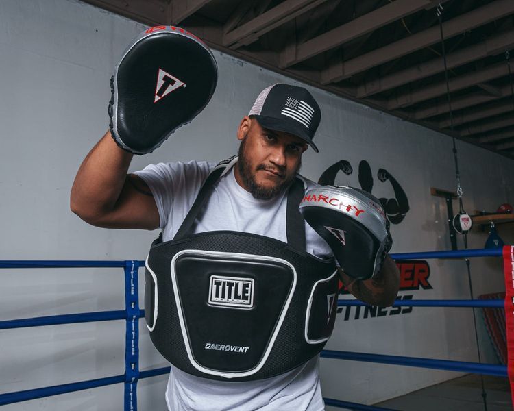 Лапи боксерські TITLE Boxing Aerovent Anarchy Punch Mitts Black/Silver AASPM BK/SV фото