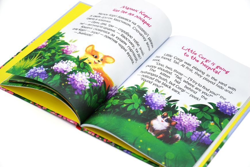 Малюк Коргі йде до школи. Книжка-білінгва 10311028573 фото