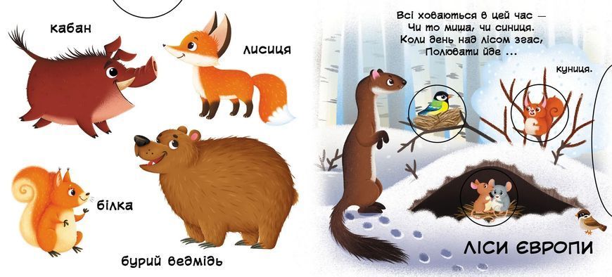 Перша книжка з рухомими елементами. Тварини. Дізнайся, грай, крути, штовхай 10311010882 фото
