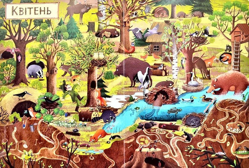 Рік у лісі. Книга-розглядалка (віммельбух) 1031146369 фото