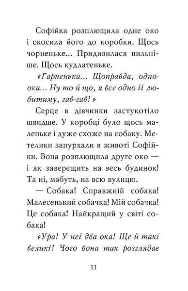 Знайомтеся, Шерлок! Як воно - бути йорком? 10311019534 фото
