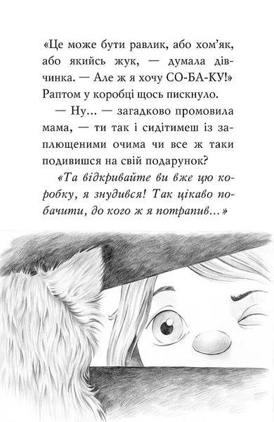 Знайомтеся, Шерлок! Як воно - бути йорком? 10311019534 фото