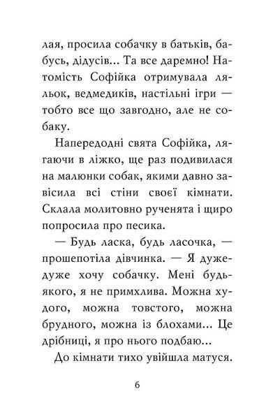 Знайомтеся, Шерлок! Як воно - бути йорком? 10311019534 фото