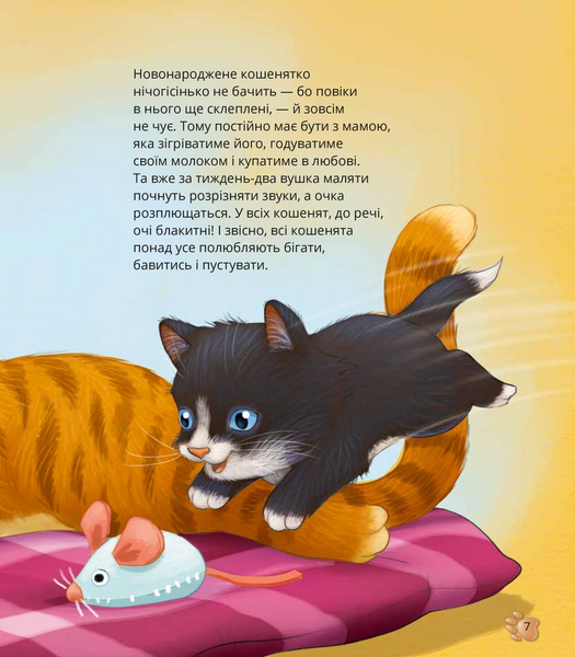 Наймиліші малюки тварин 10311027941 фото
