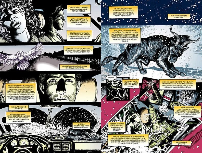 The Sandman. Пісочний чоловік. Книга 8 10311009129 фото