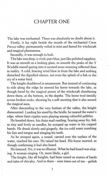 The Lady of the Lake. The Witcher. Book 5 10311029589 фото