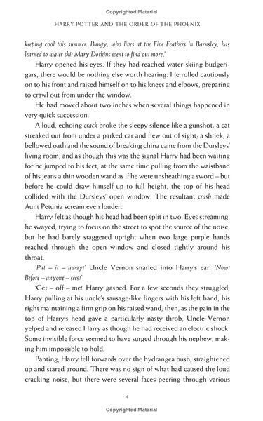 Harry Potter and the Order of the Phoenix 10311023545 фото