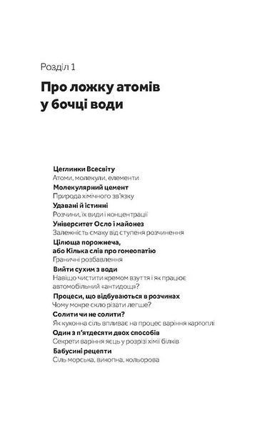 Хімія повсякдення. Від шампуню і прального порошку до смаженої картоплі 10311011038 фото