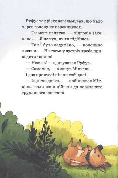 Герої дикого лісу. Порятунок від смутку 10311019616 фото