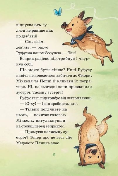 Герої дикого лісу. Порятунок від смутку 10311019616 фото